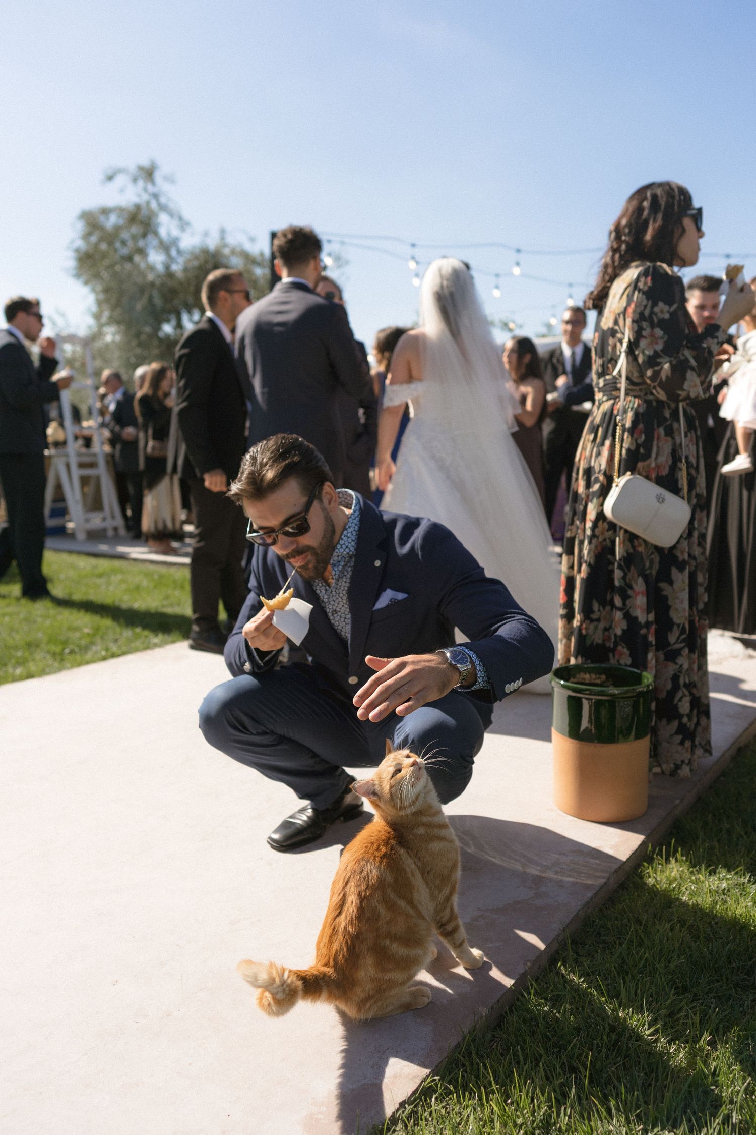 Wedding guest in navy suit crouching to pet a small ginger cat during an outdoor wedding reception.