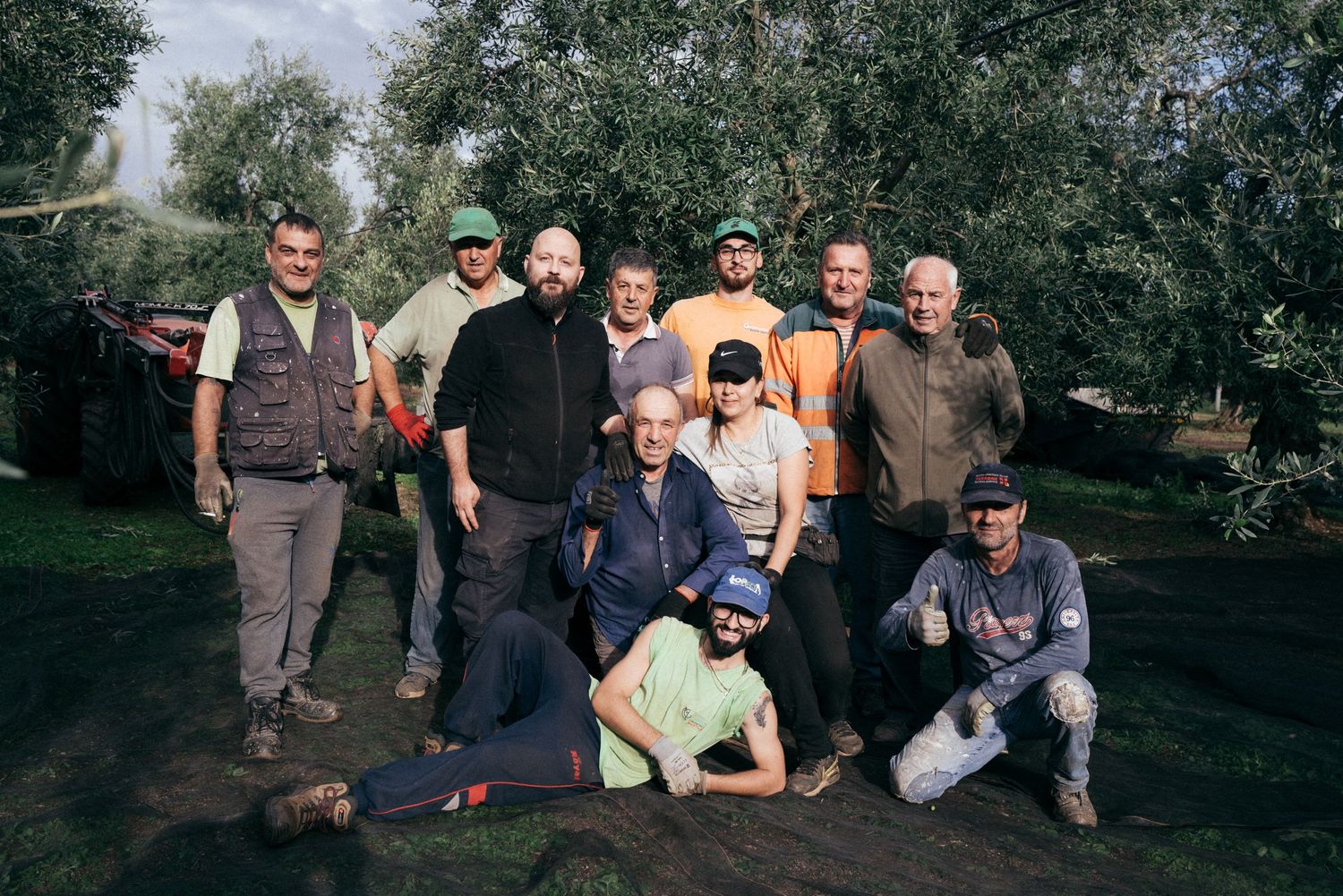 Group photo of workers gathered in an olive grove during harvest season.