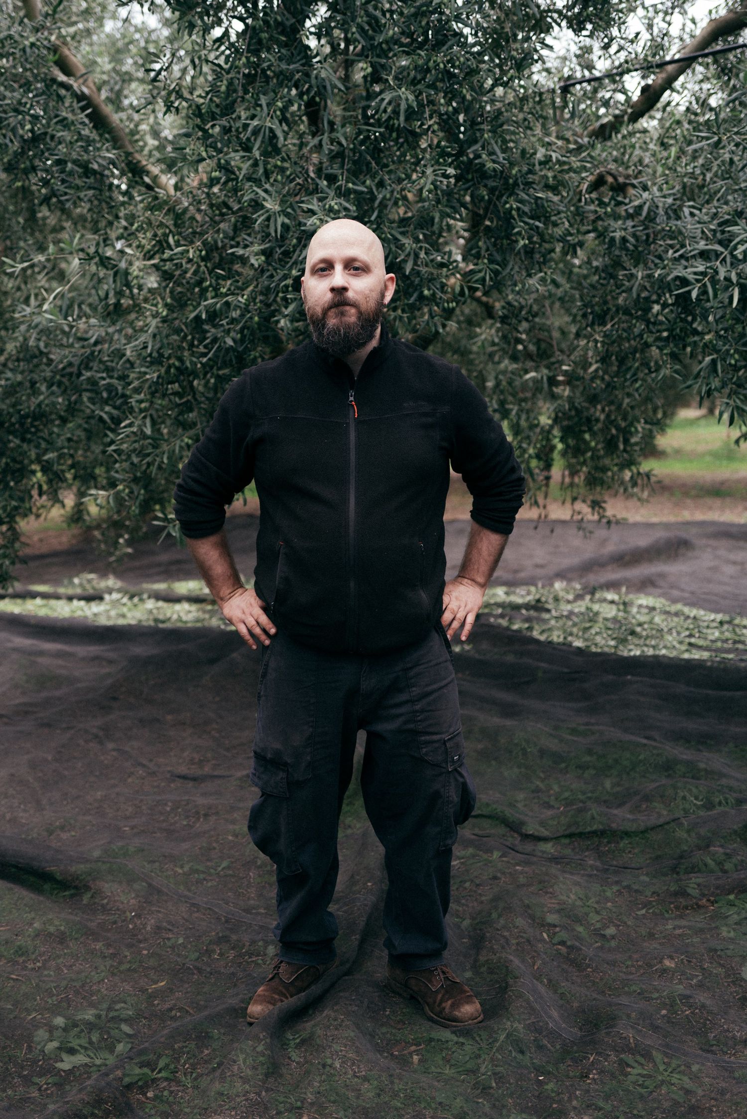 Person wearing black jacket stands confidently in olive grove on dirt ground.