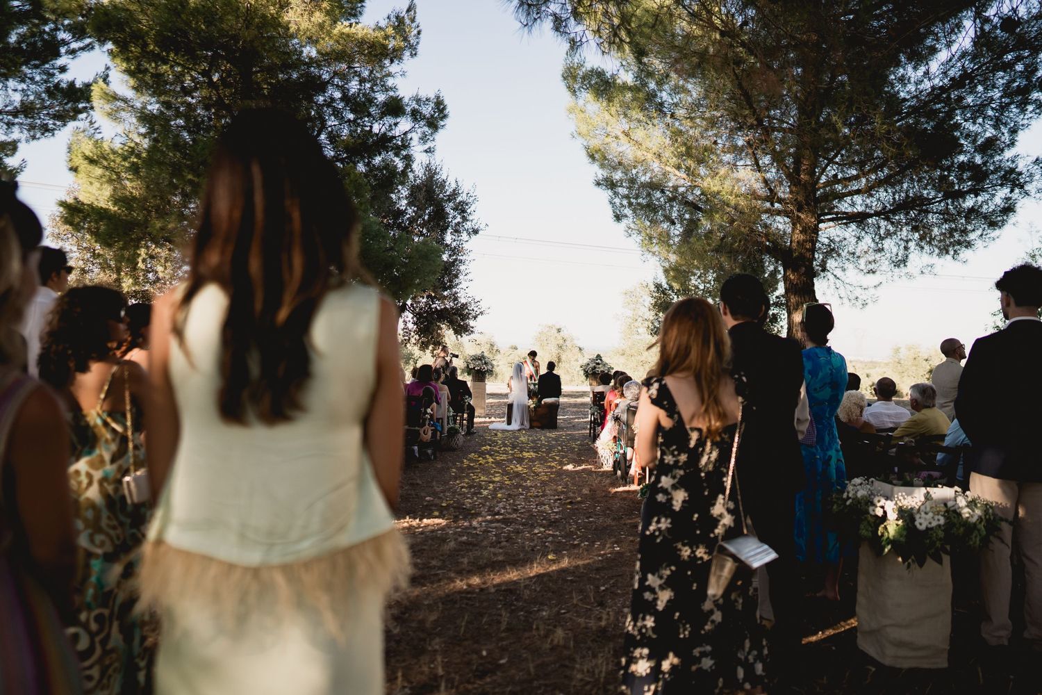 Wedding guests gather outdoors among pine trees during a sunset ceremony.