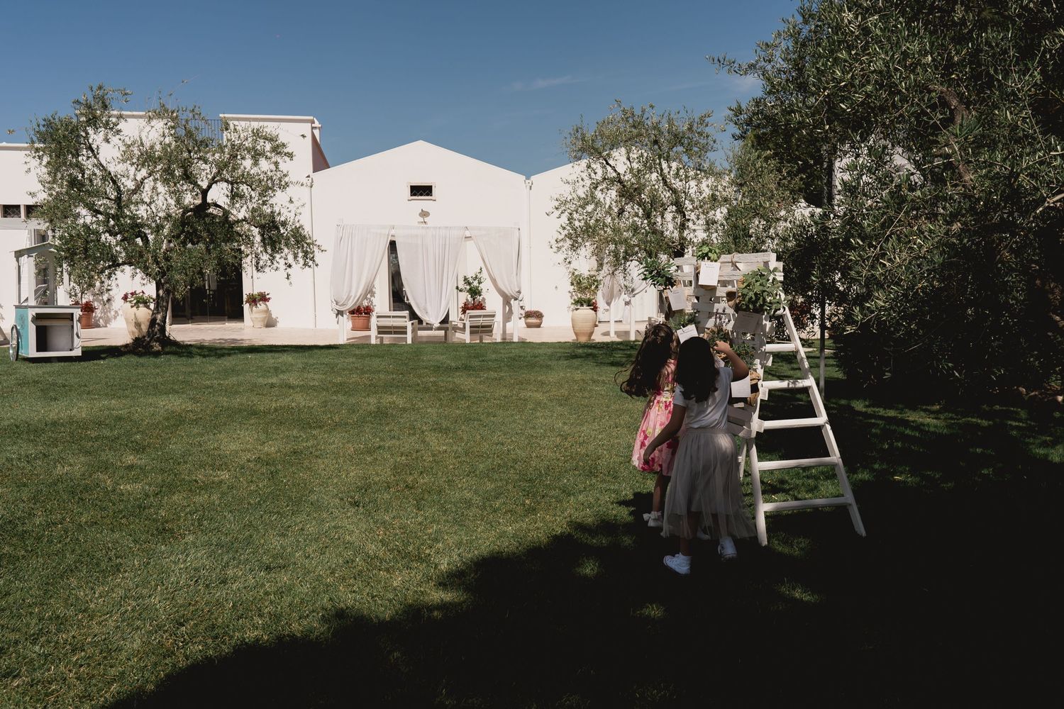 White Mediterranean-style buildings with olive trees and a ladder in a sunny garden setting.