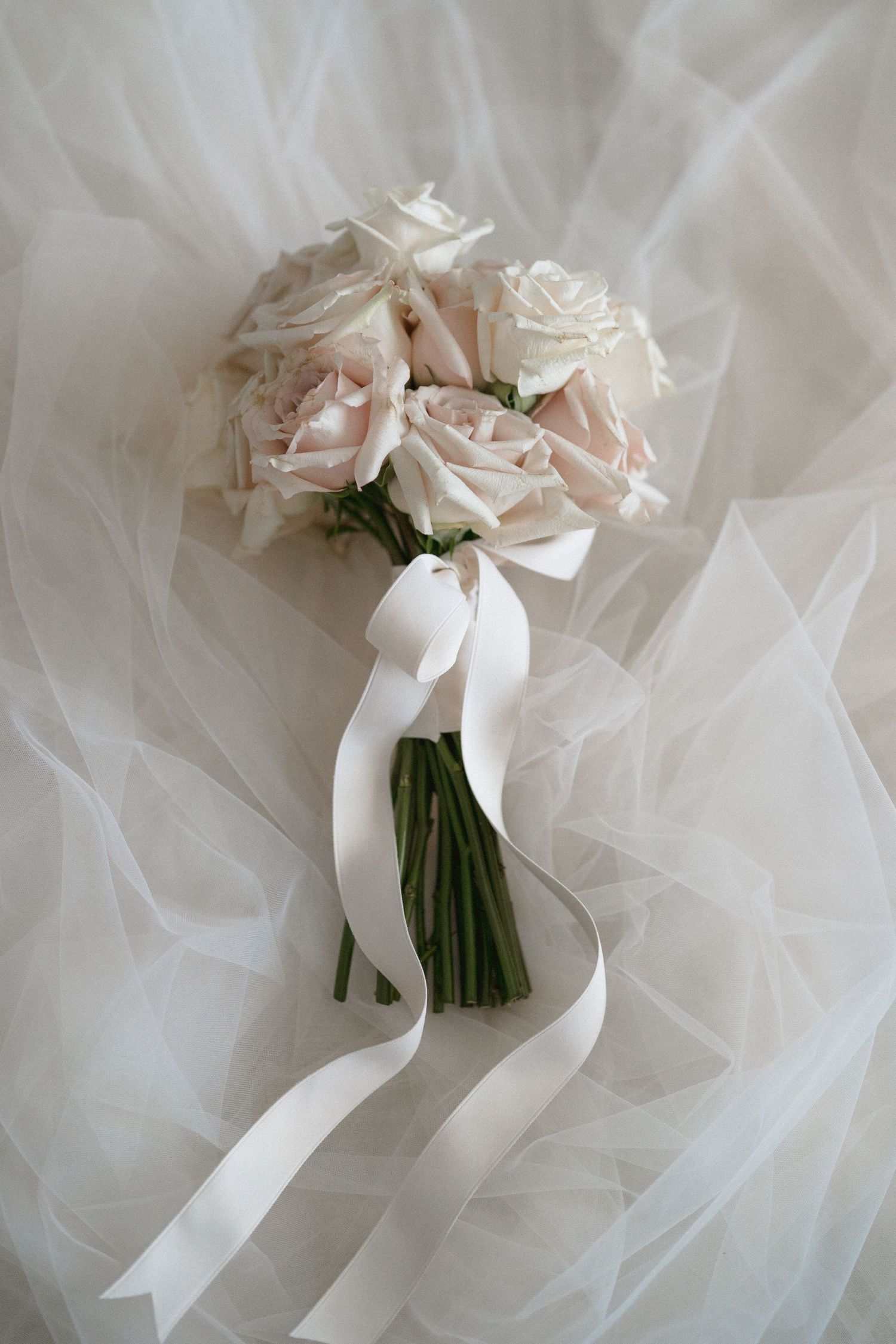 A delicate bouquet of pale pink and white roses tied with a flowing white satin ribbon against a soft tulle background.
