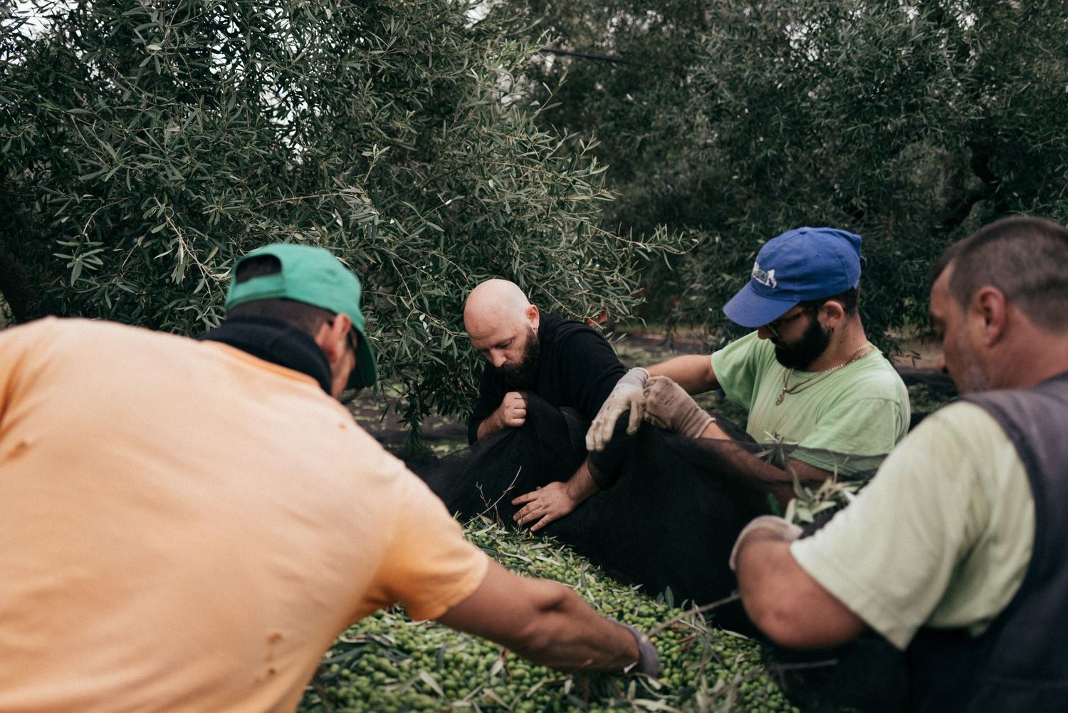 A group of people gathered outdoors examining plants together in a wooded area.