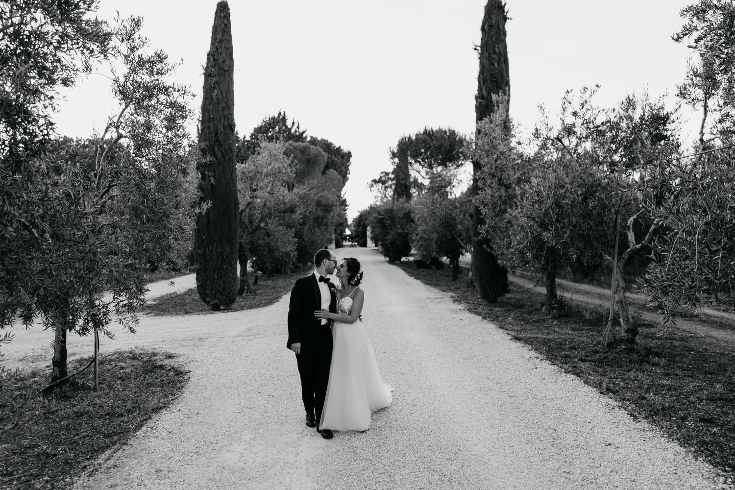 A black and white wedding photo of a couple walking down a cypress-lined path in Italy.