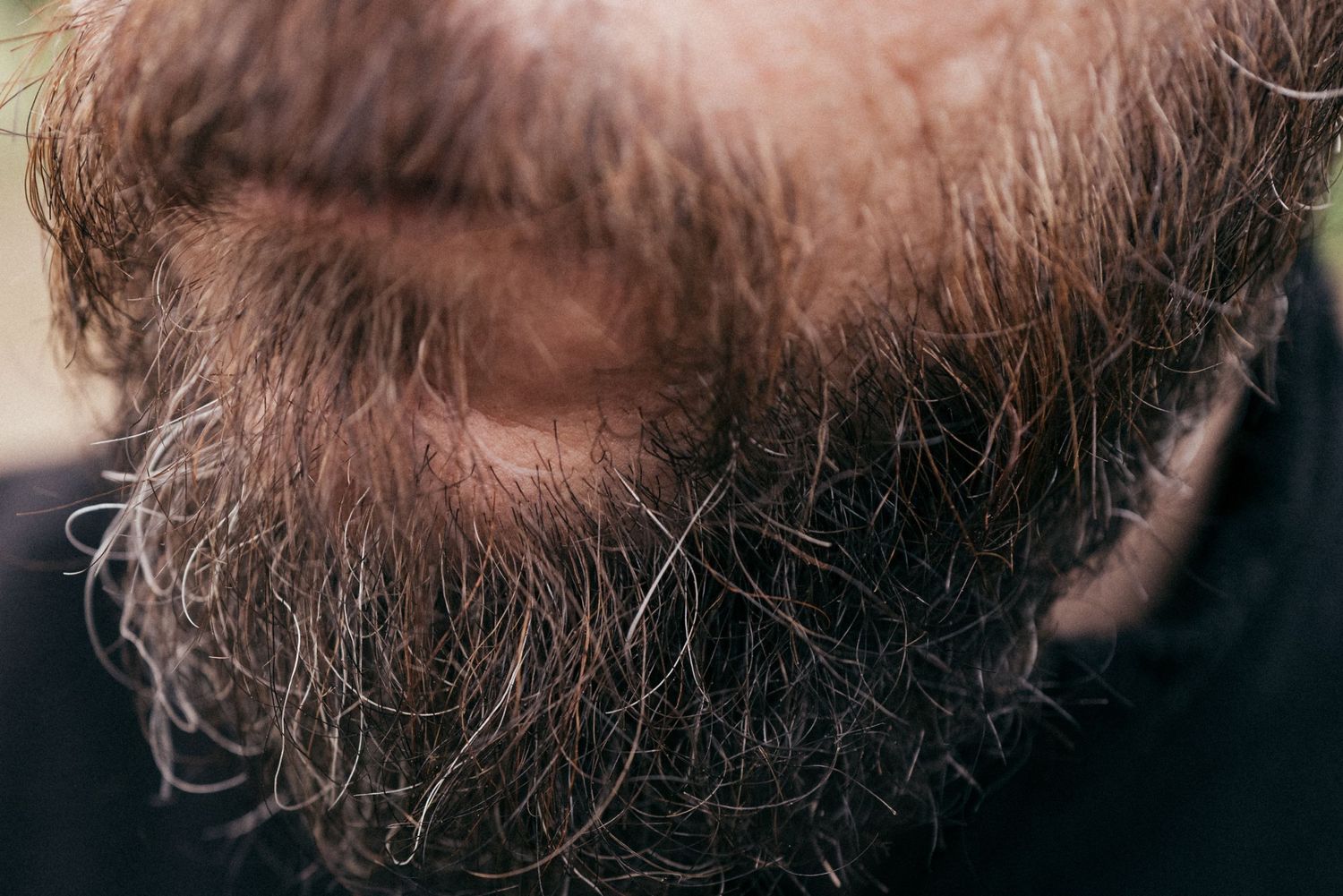 Close-up detail of a thick gray and brown beard with natural lighting.