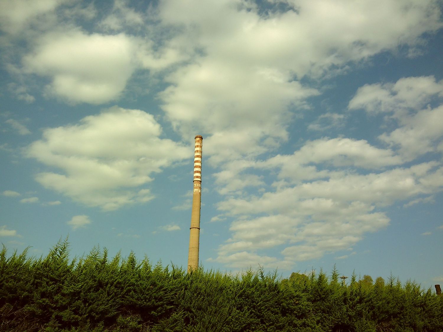 Tall communications pole rising above evergreen trees against a cloudy blue sky.