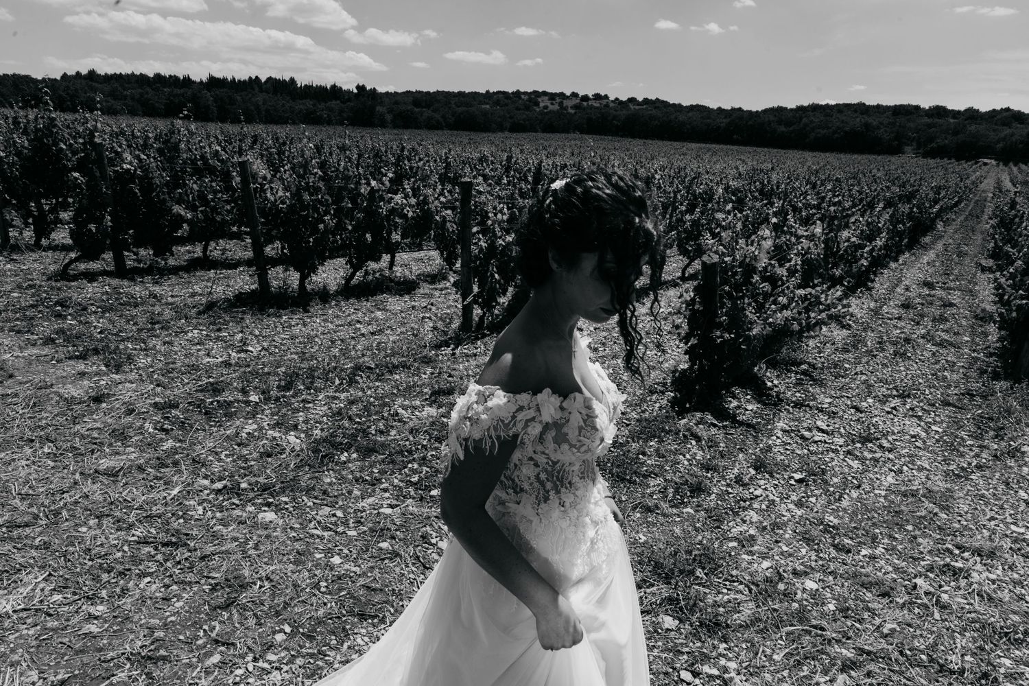 A black and white photo captures a bride in a vineyard wearing a lace gown with flowing train.