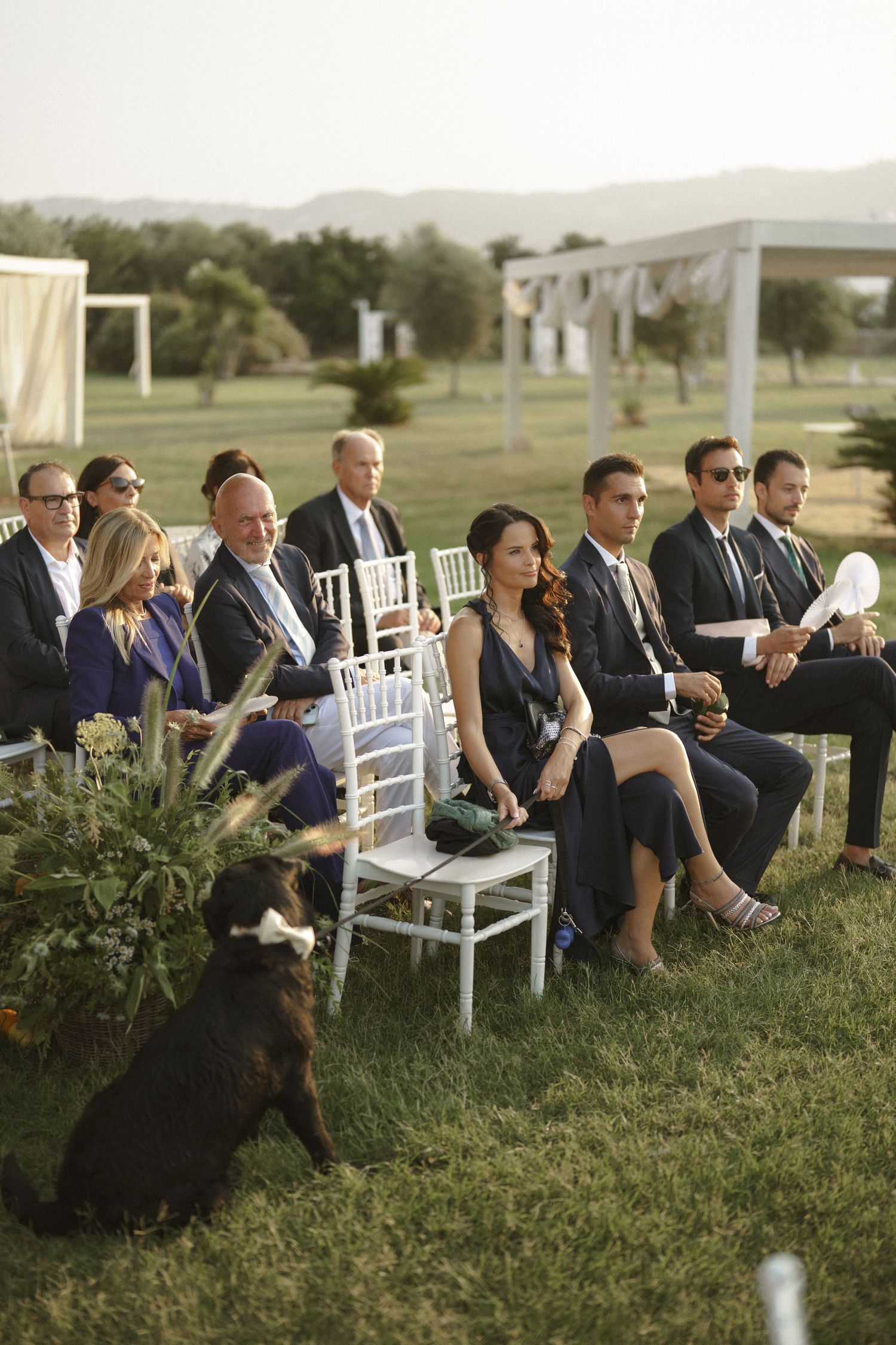 Wedding guests seated on white chairs at an outdoor ceremony with a black dog in the foreground.