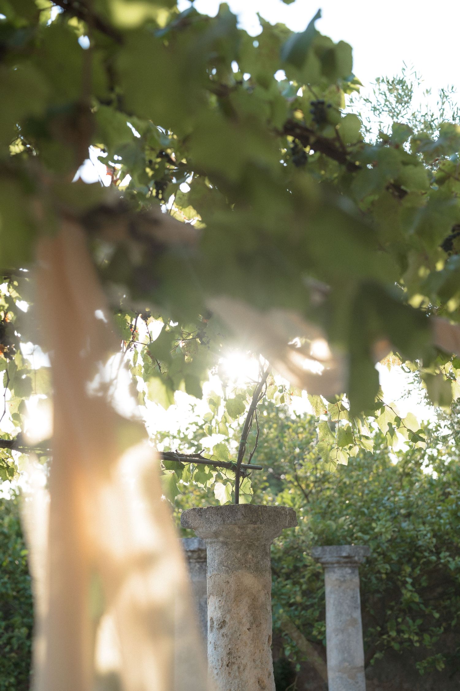 Sunlight filters through green leaves above a stone pillar in a garden setting.