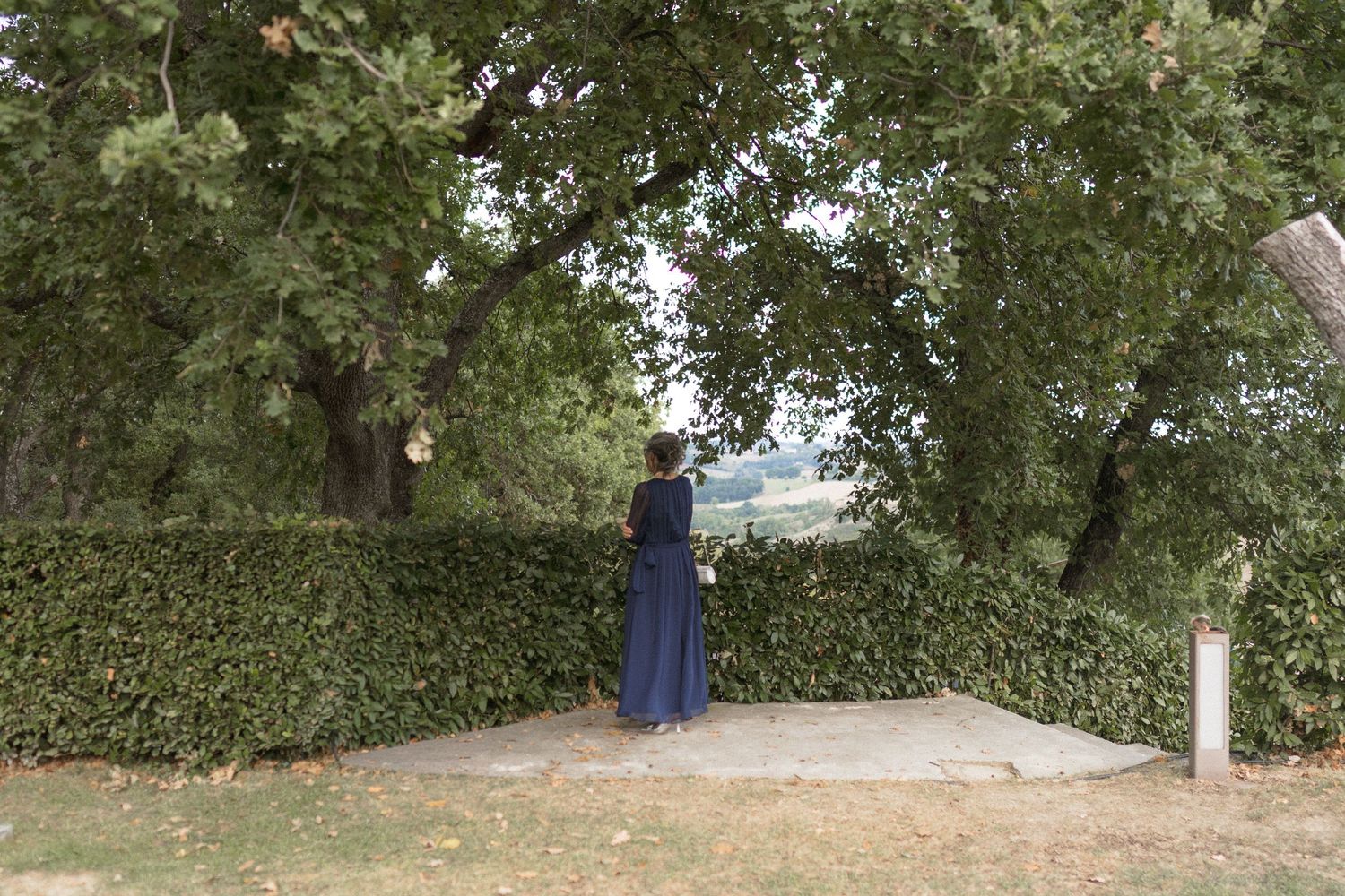 Green trees and foliage create a natural outdoor setting for a wedding ceremony.