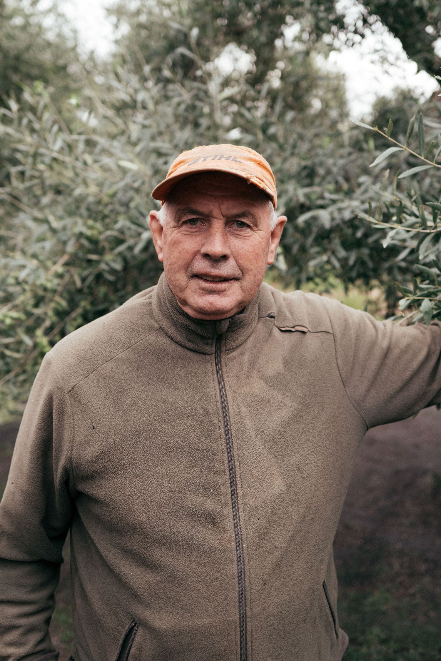 Person in a brown fleece jacket and orange cap stands among olive trees during harvest season.
