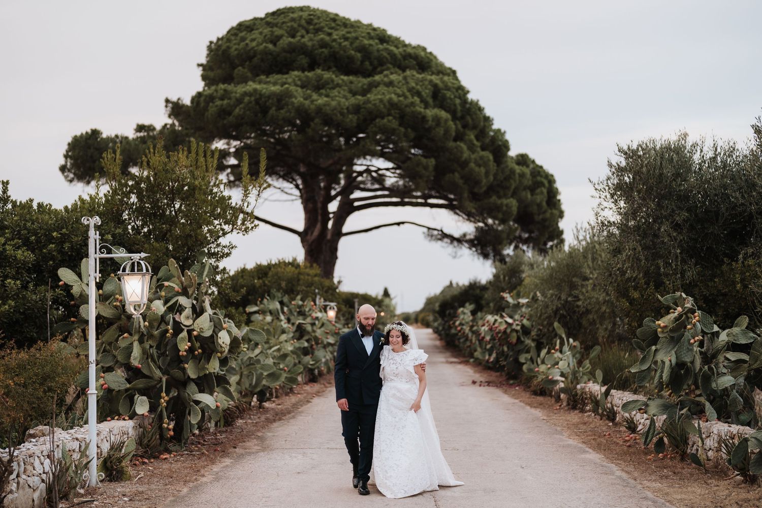 A couple walking down a tree-lined pathway with Mediterranean pines and cacti.
