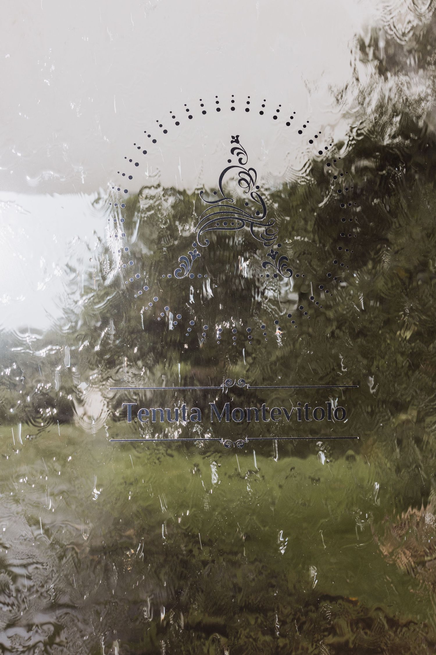 An artistic double exposure photograph of a circular logo against a misty natural background.
