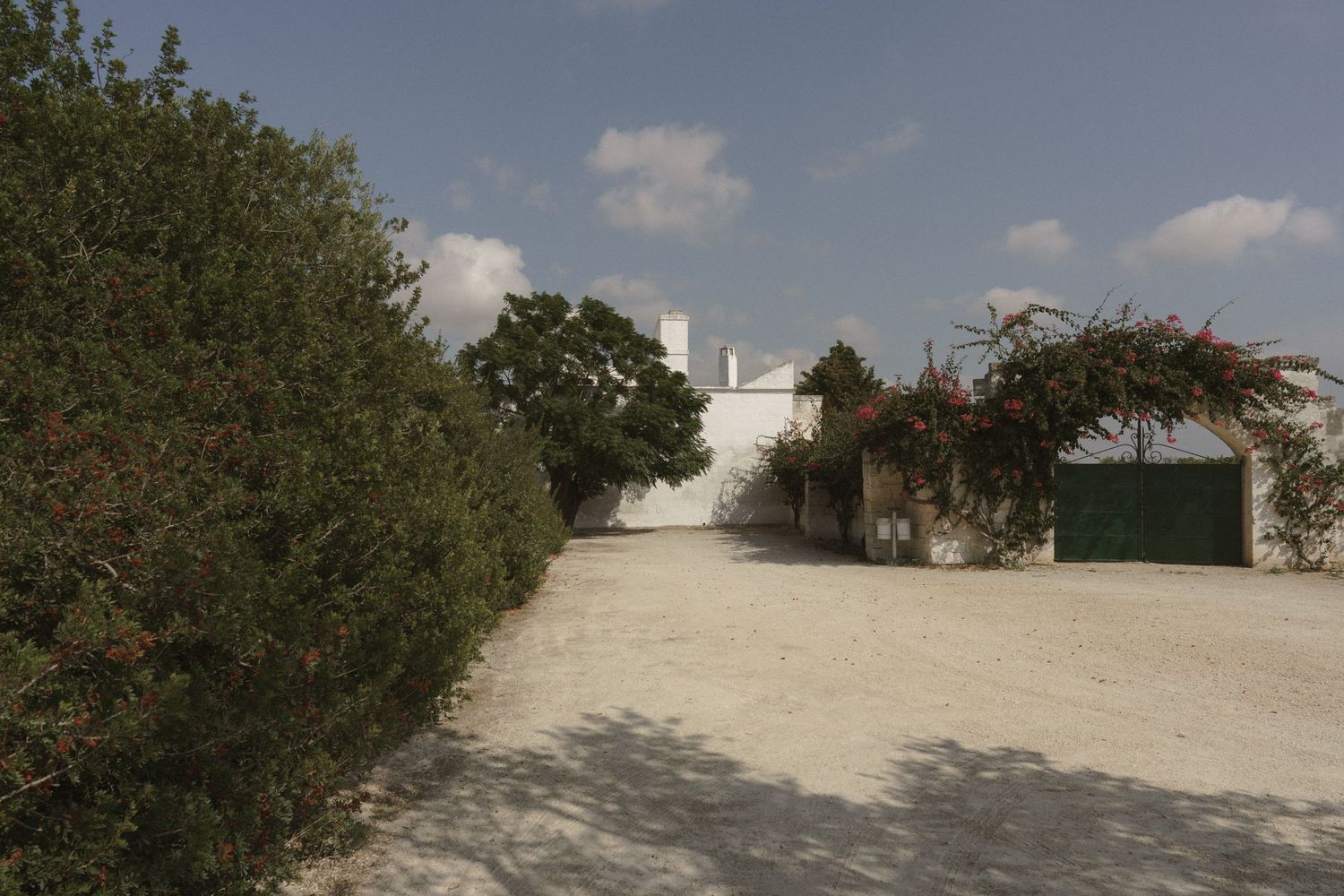 A white stucco wall and gravel path with green shrubs and trees under a sunny blue sky.