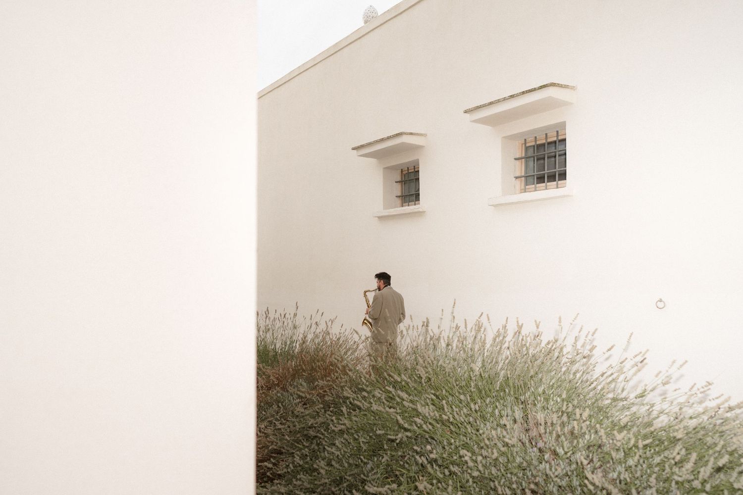 Minimalist white building exterior with lavender plants growing along the wall.