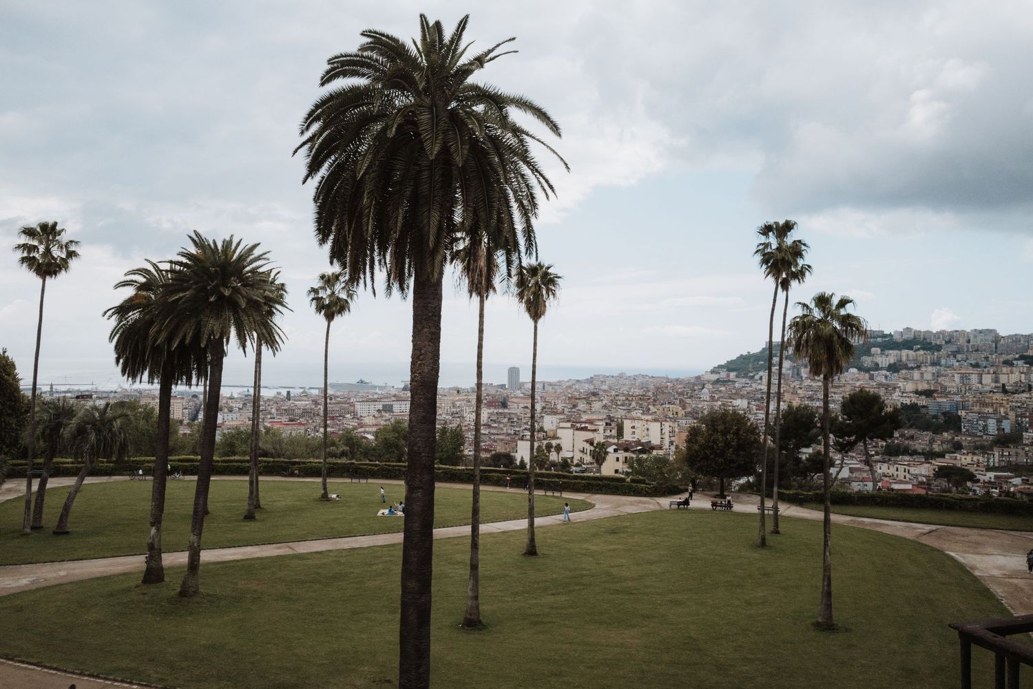 Palm trees line a hilltop park overlooking a Mediterranean coastal city on a cloudy day.
