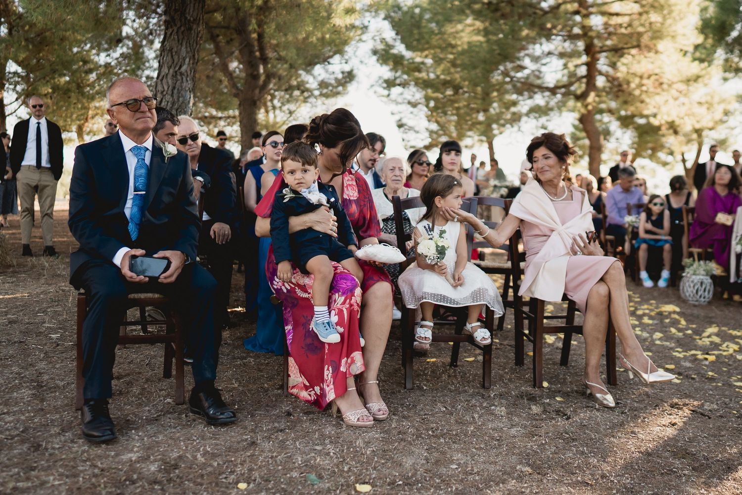 Wedding guests seated on wooden chairs at an outdoor ceremony among pine trees.