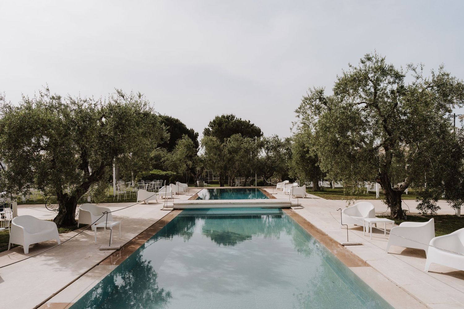 Modern swimming pool surrounded by olive trees and loungers at an elegant venue.