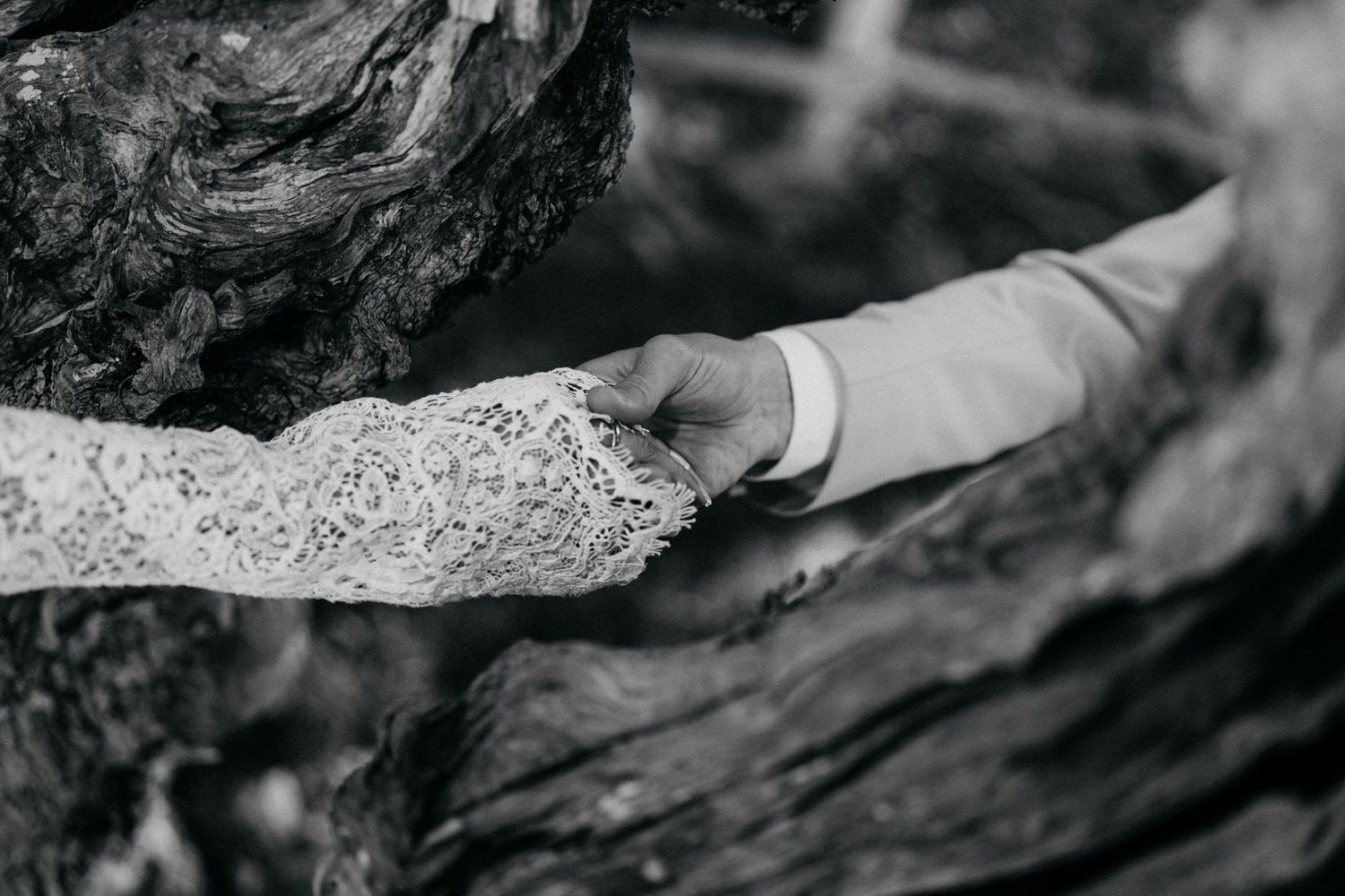 Bride in a lace sleeve holding the hand of a groom in a suit, framed by weathered tree trunks in a black and white wedding photo.