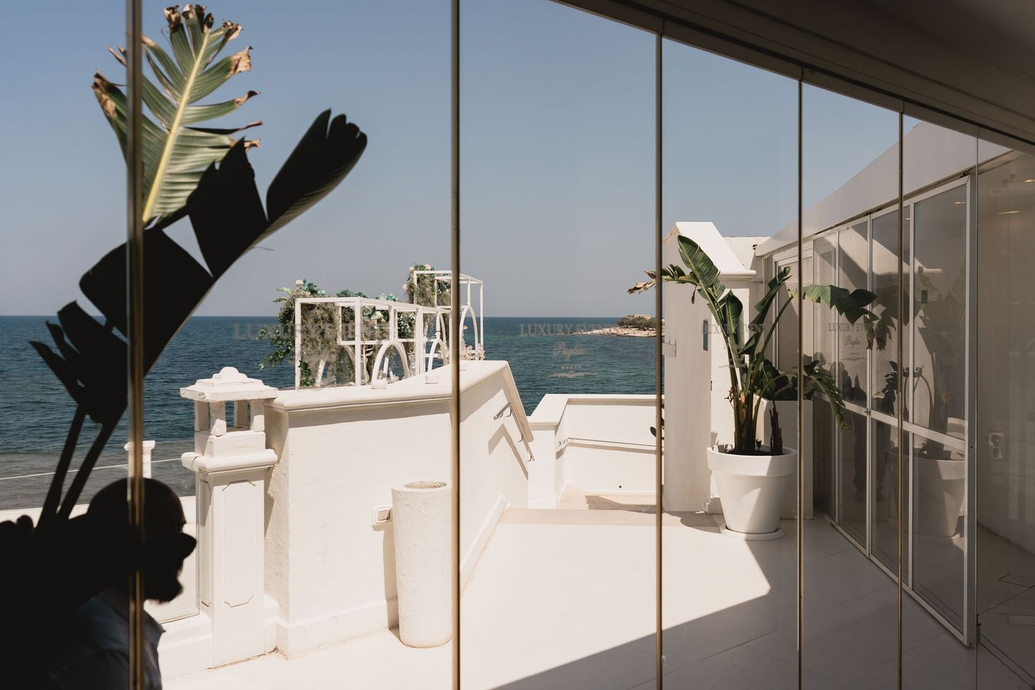 Coastal terrace view with white railings and tropical plants overlooking the ocean.