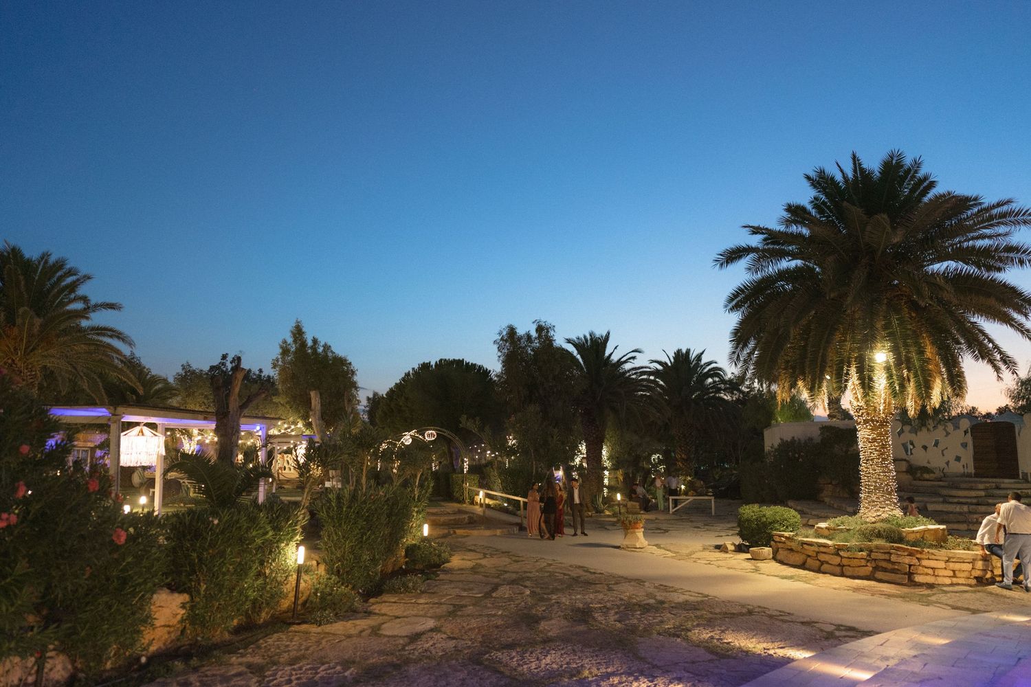 Panoramic view of a palm tree-lined street at dusk with buildings and street lights illuminating the scene.