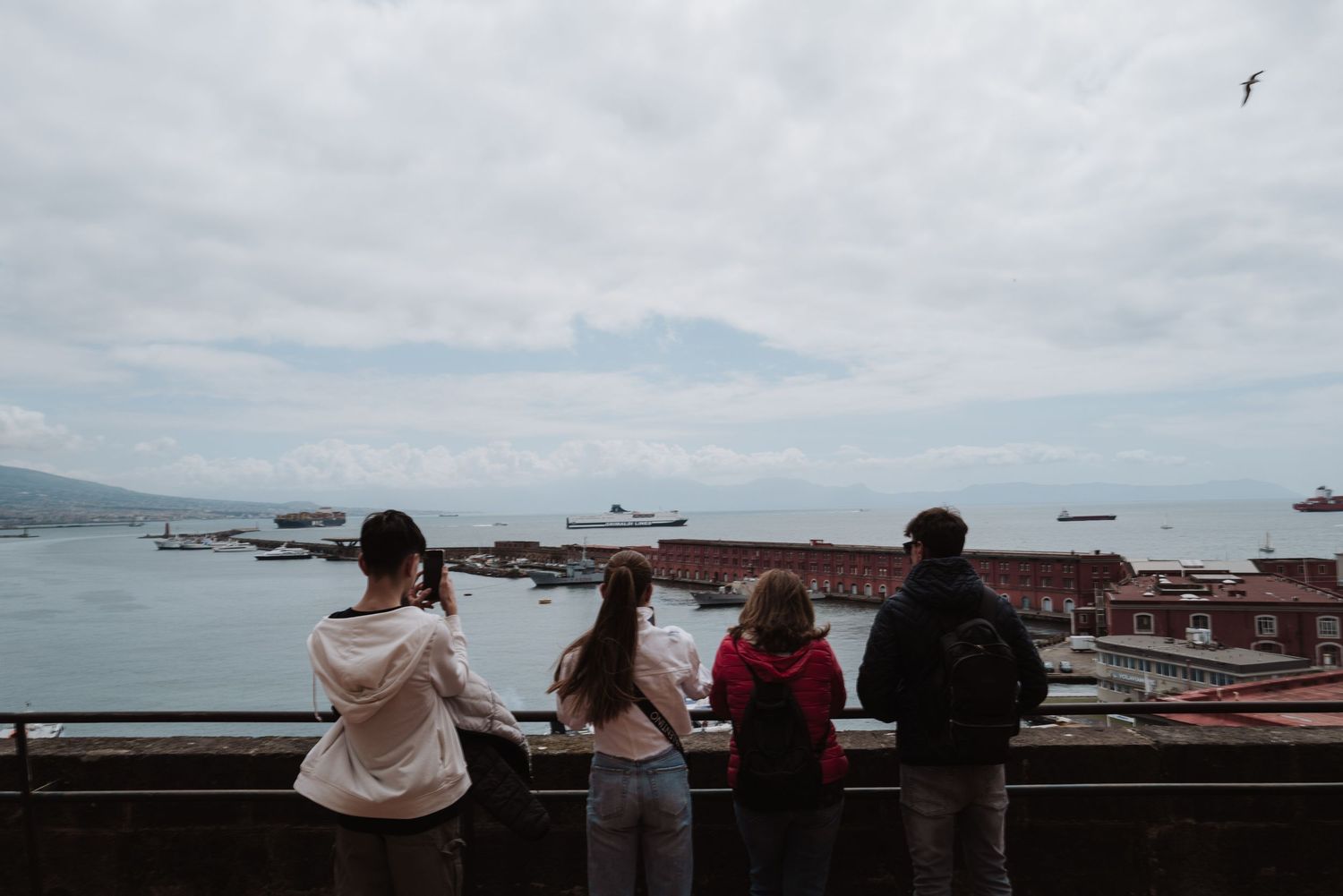 People look out over a misty harbor filled with boats and ships from a viewing platform on a cloudy day.