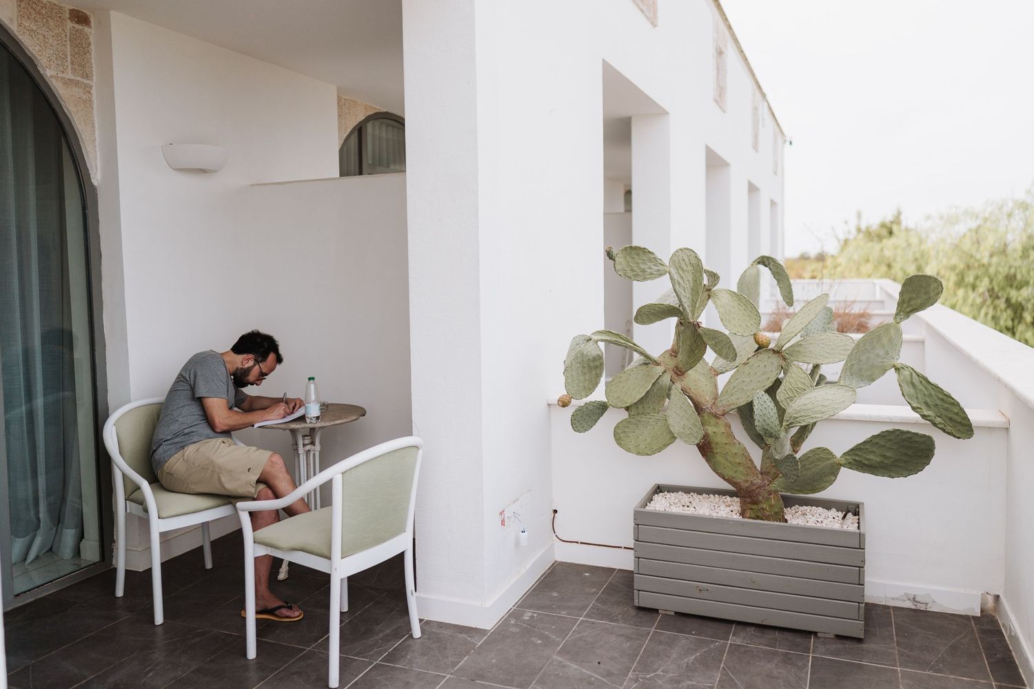 Someone working at a table on an outdoor patio with a large cactus plant.