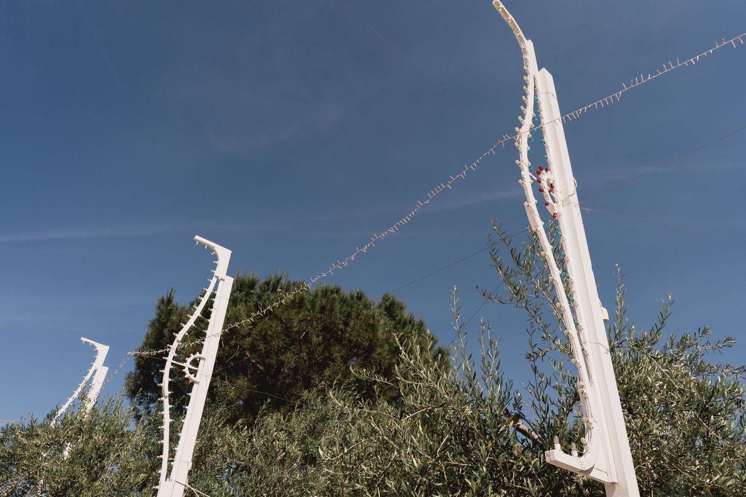Tall white fabric decorations and poles set up outdoors among olive trees.