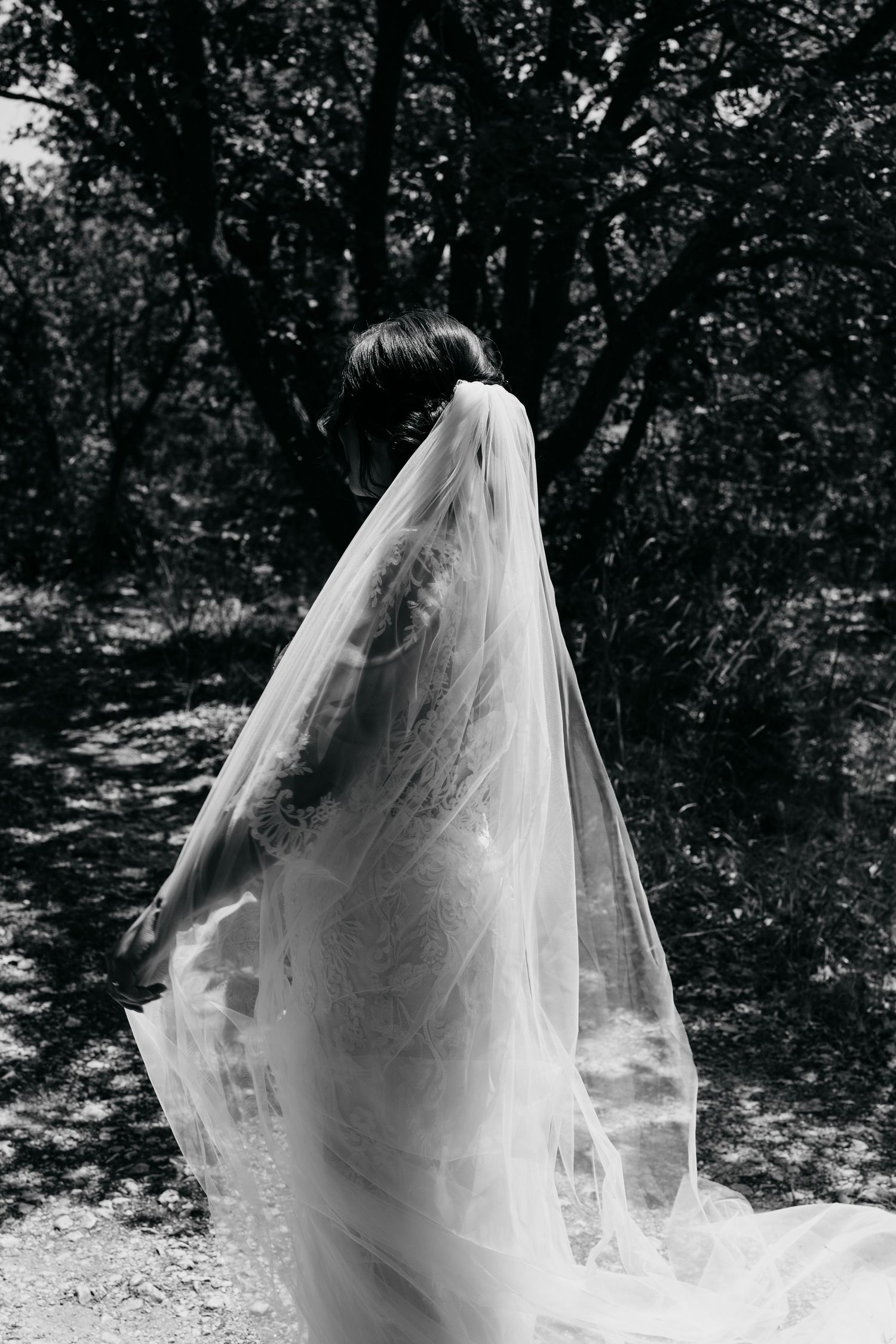 Artistic black and white photo of a flowing bridal veil in a wooded setting.