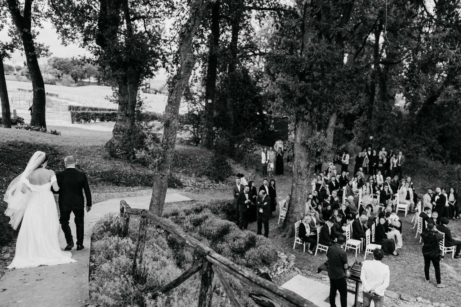 Wedding guests observe a ceremony taking place under tall trees in an outdoor setting.