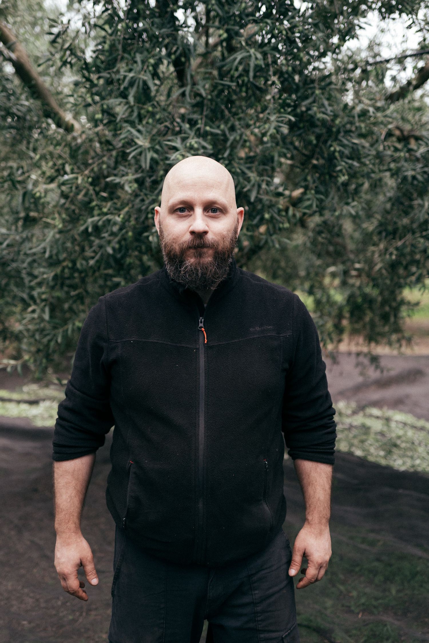 A figure in a black fleece jacket stands in front of an olive grove on an overcast day.