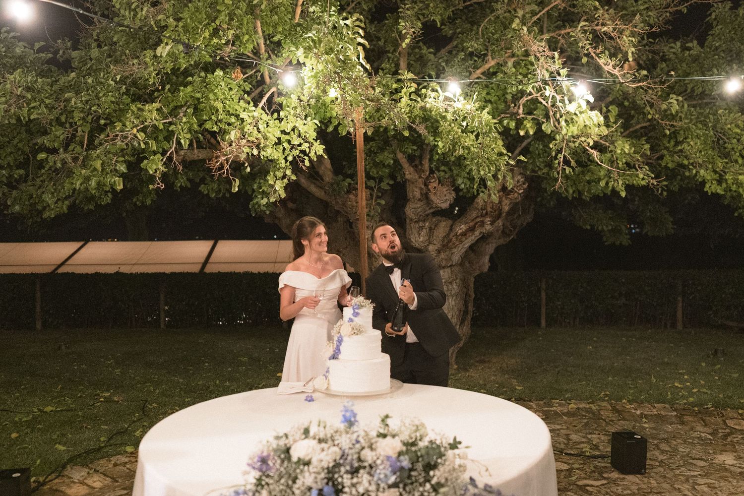 Wedding celebration at night under a tree decorated with string lights.