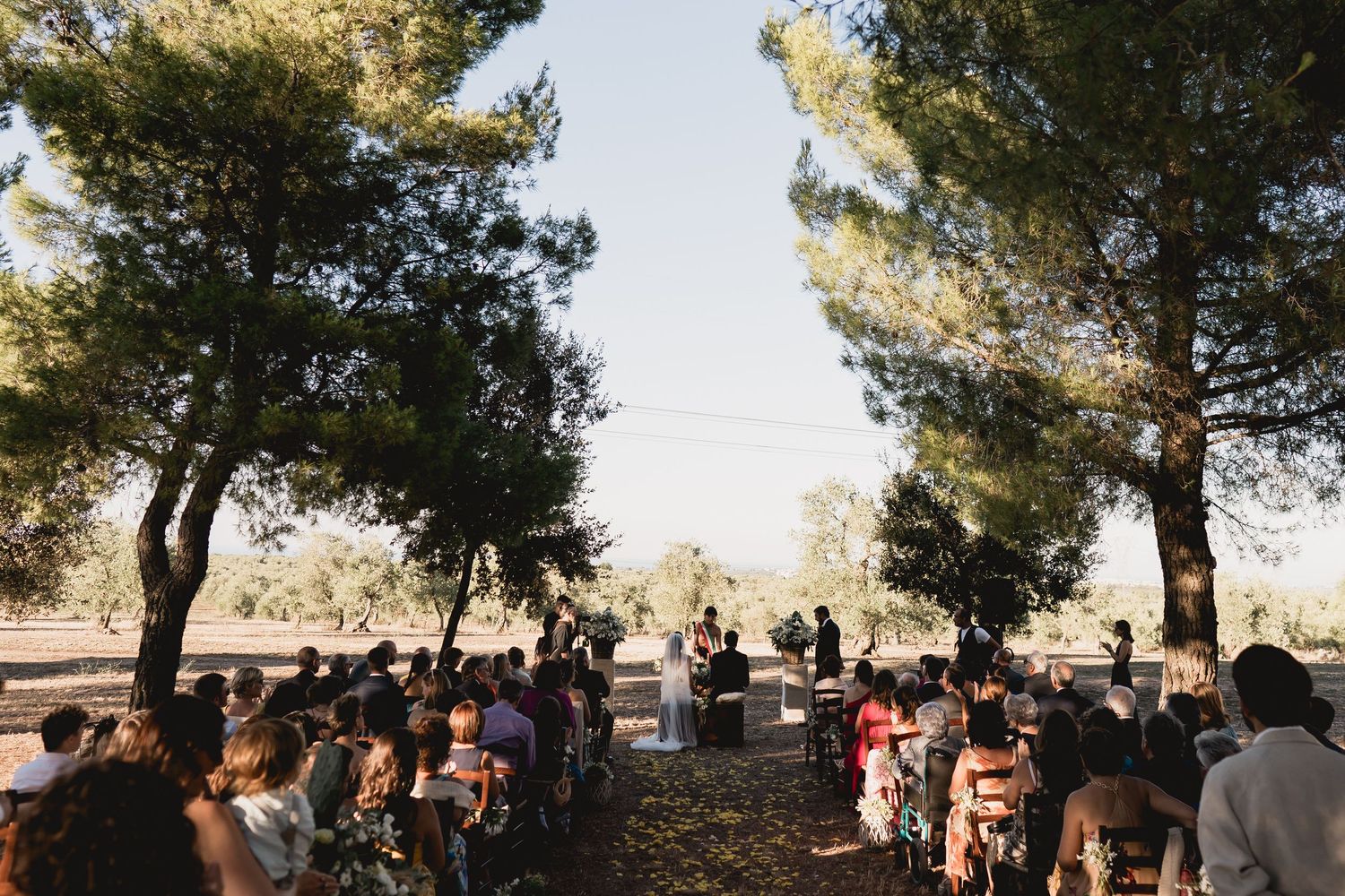 Outdoor wedding ceremony under tall pine trees with guests seated on chairs.