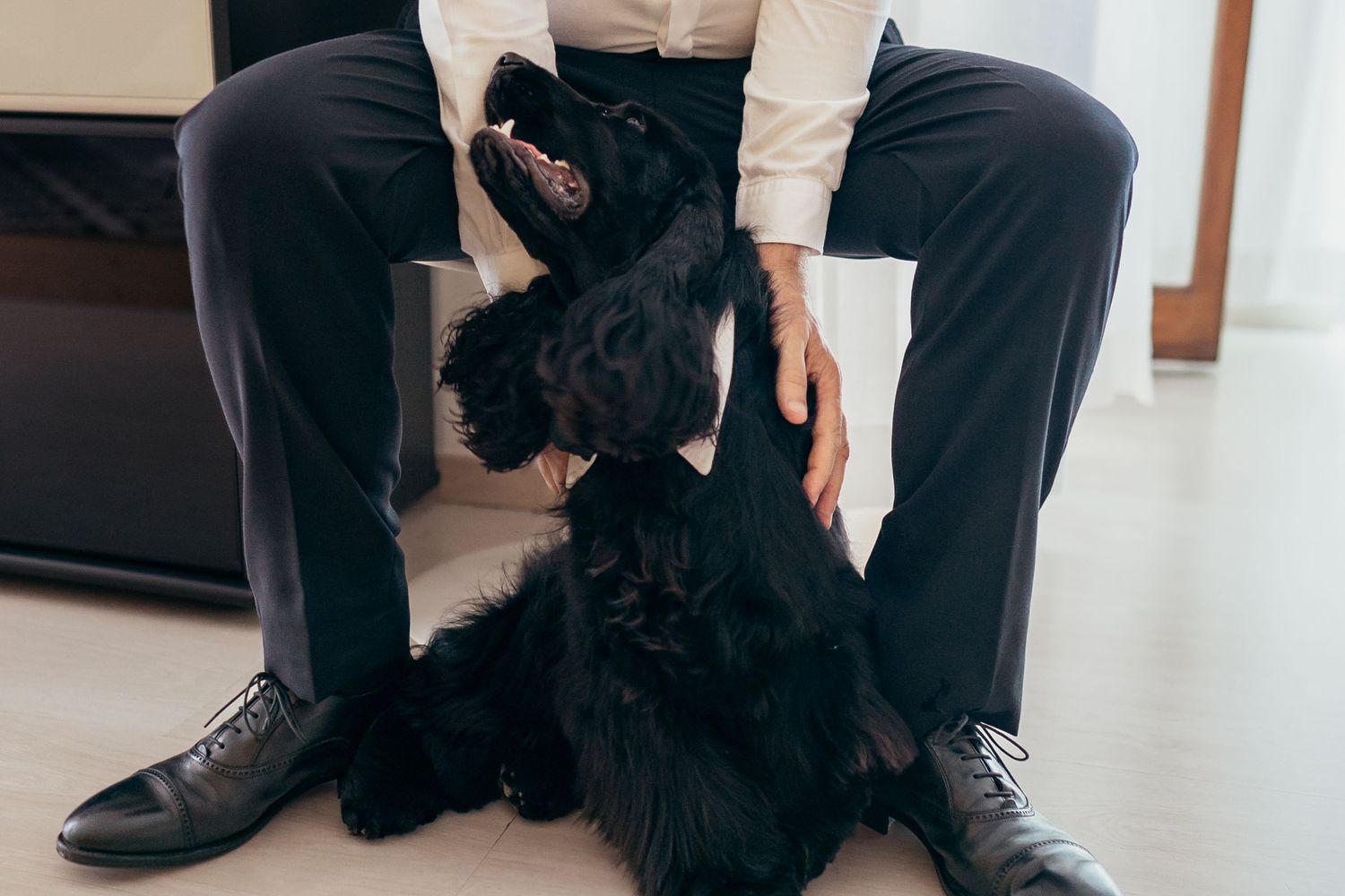 A person in formal attire sitting with a black dog on their lap.