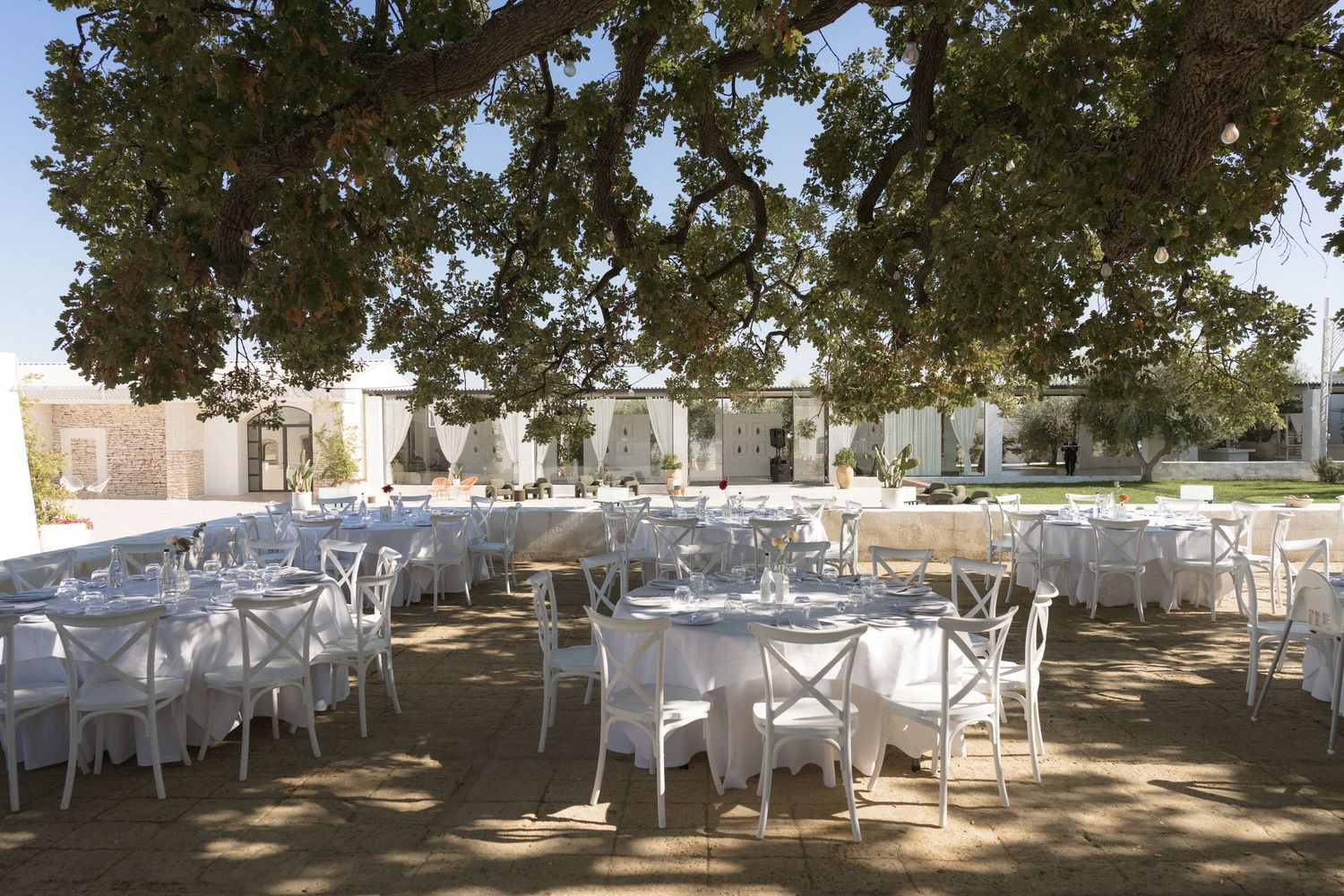 Elegant outdoor wedding reception with white tables and chairs set under a large tree in a sunny courtyard.