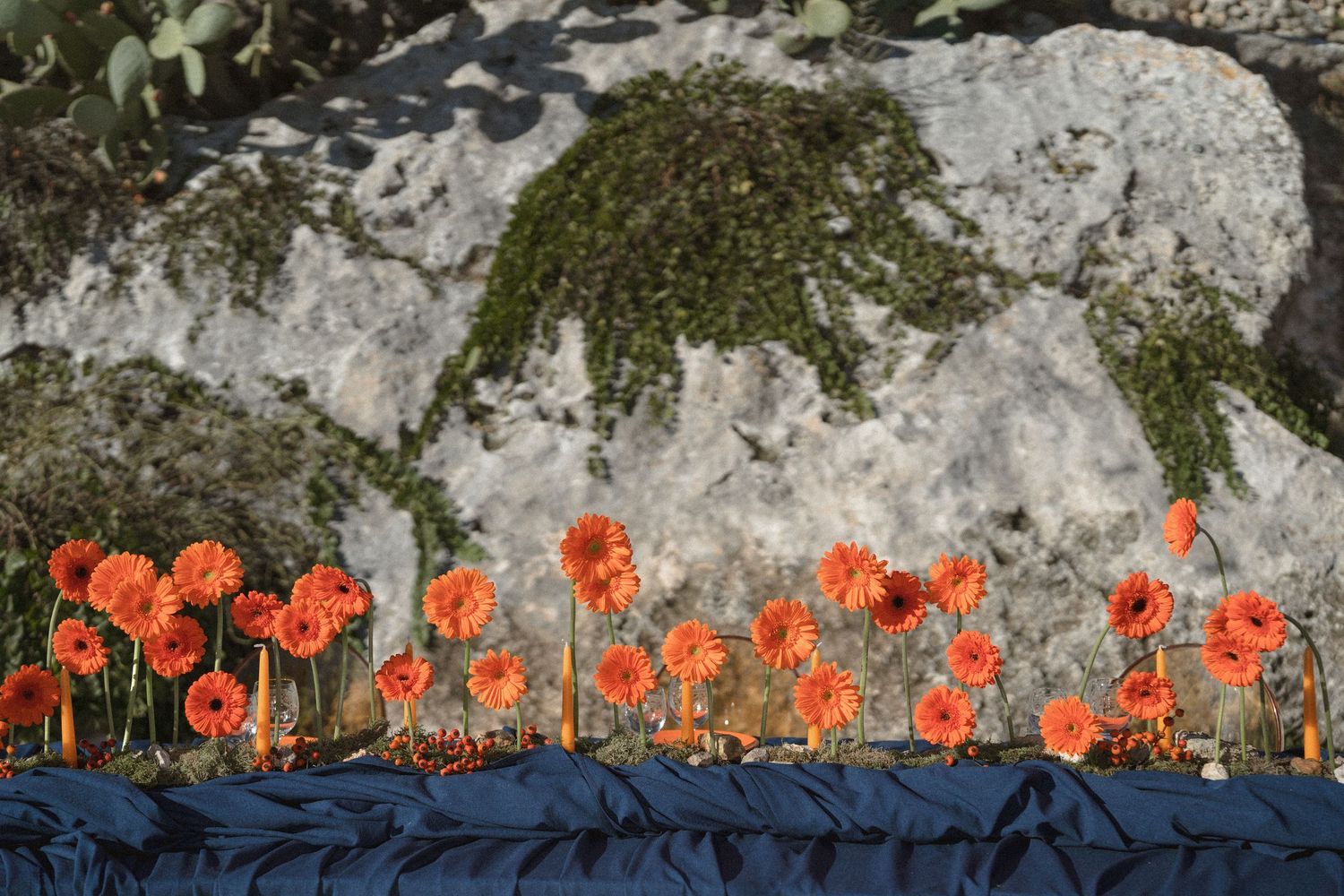 Orange gerbera daisies arranged along a dark blue table runner in front of a mossy stone wall.