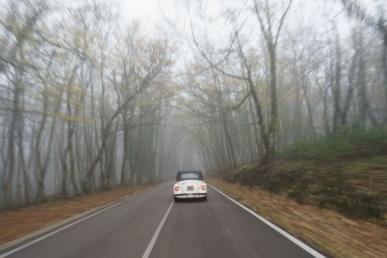 Vintage white car driving through a misty forest road in autumn.