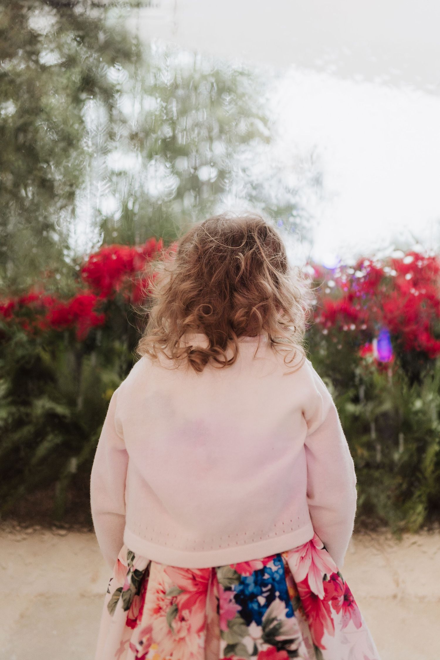 A small figure in pink stands before a garden of bright red flowers on a misty day.
