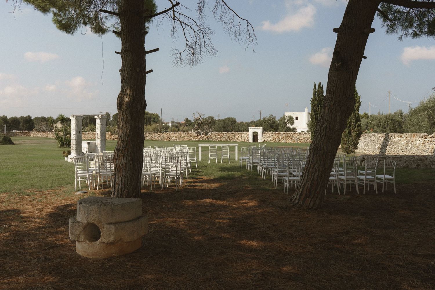 White ceremony chairs arranged between tall pine trees at an outdoor wedding venue.