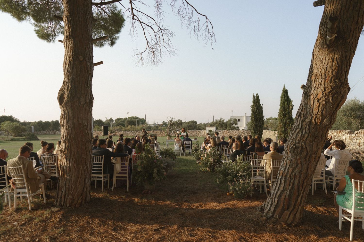 White chairs arranged under tall pine trees at an outdoor wedding ceremony.