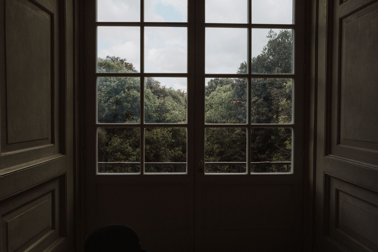 Dark interior window frame looking out onto green treetops against an overcast sky.