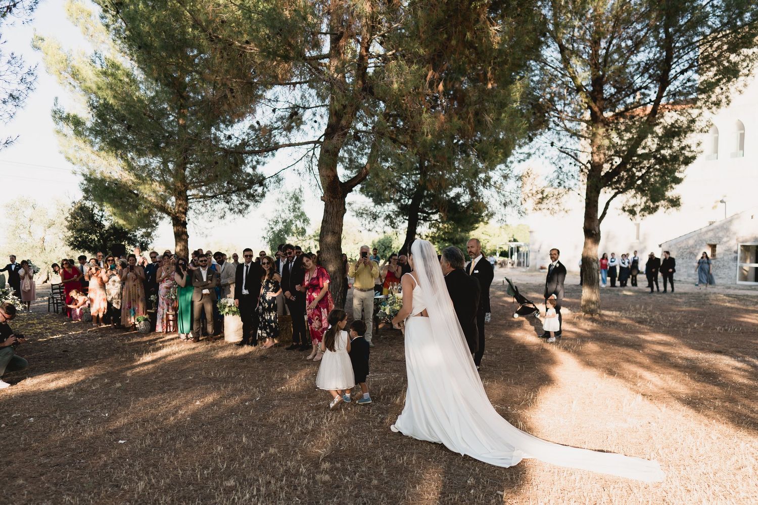 Wedding guests gather under tall pine trees for an outdoor ceremony in natural sunlight.