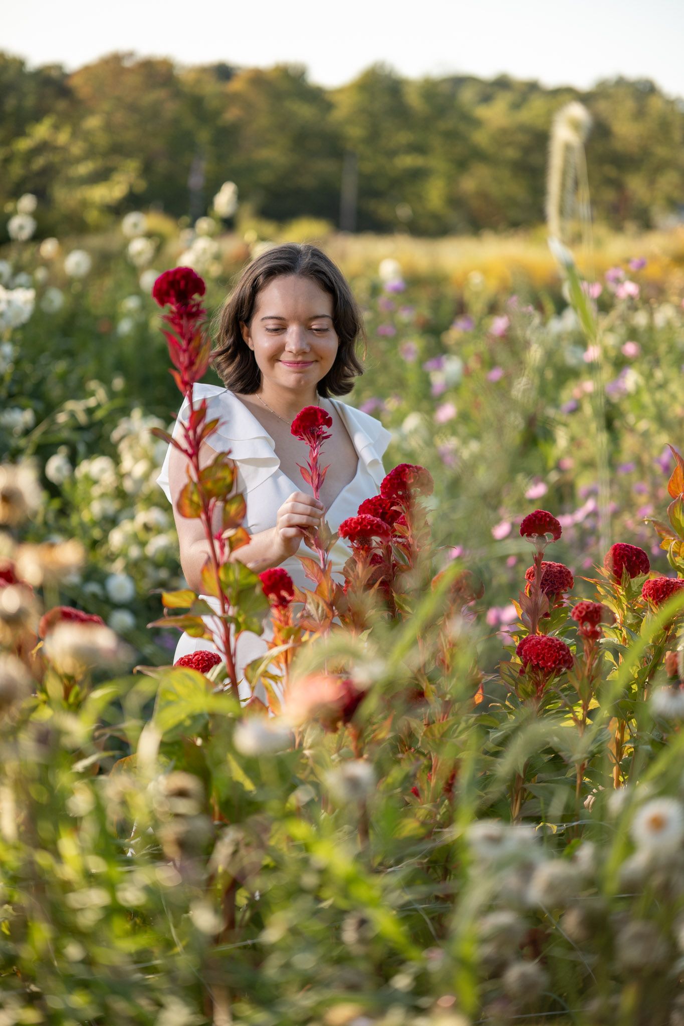 A person poses among vibrant red celosia flowers in a wildflower garden during golden hour.