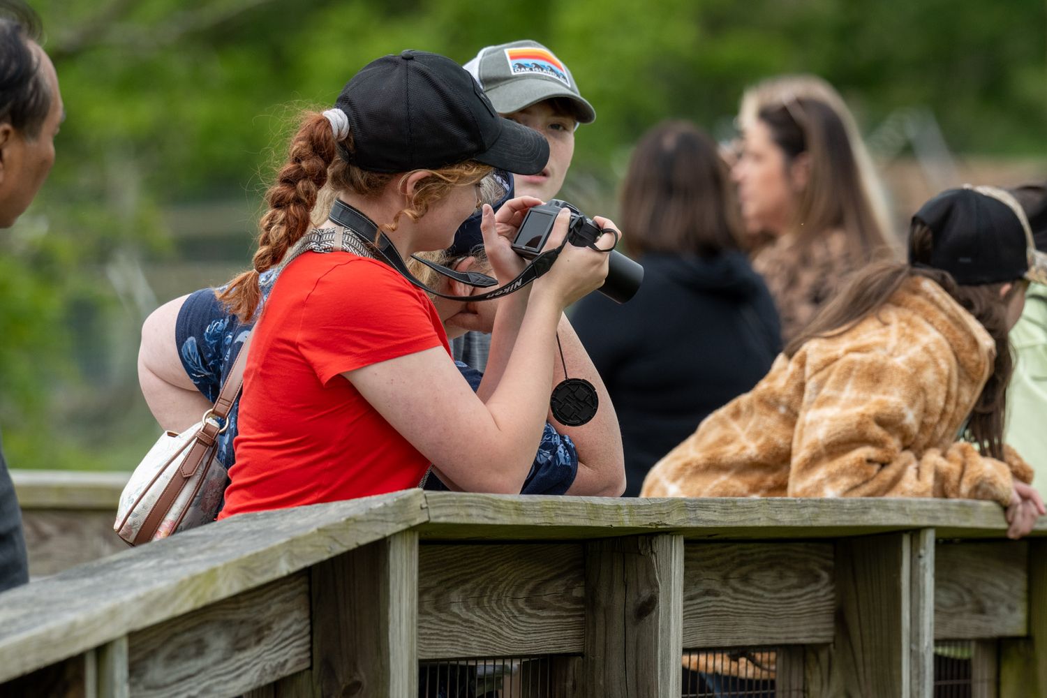 A group of people with cameras and binoculars lean over a wooden railing to observe wildlife in a nature area.