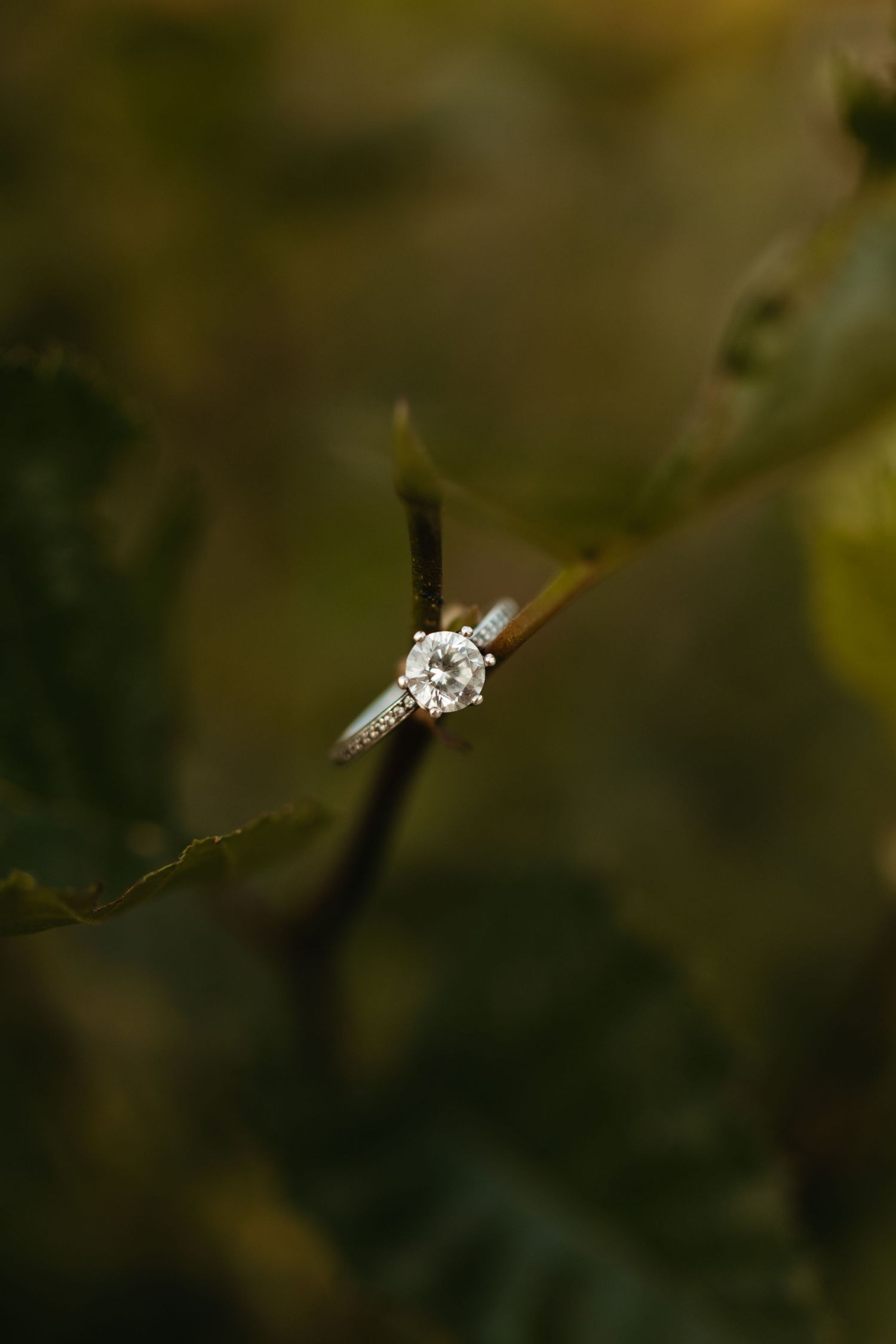 Macro shot of a sparkling engagement ring with bokeh background.