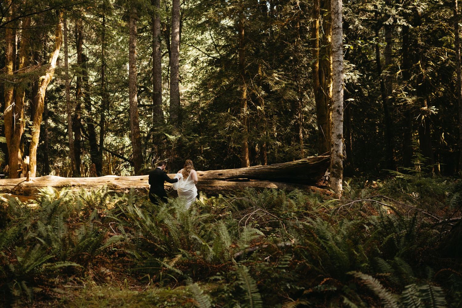 A sunlit wedding scene in a lush forest with ferns and tall trees.