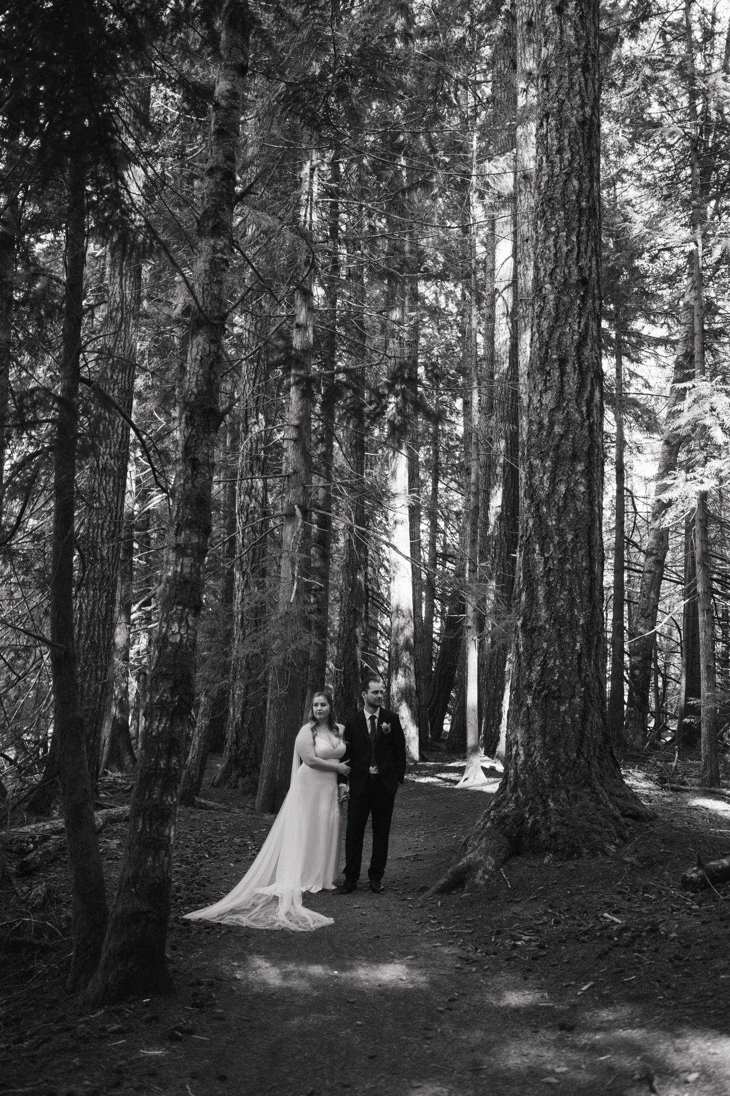 A black and white wedding photo of a couple standing among tall forest trees.