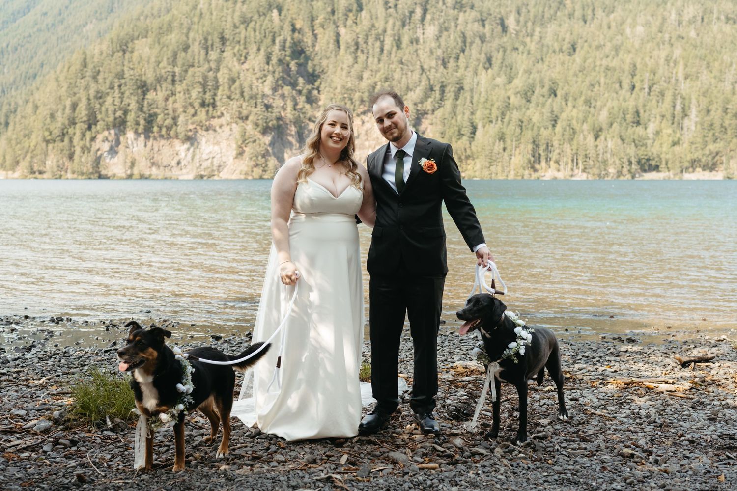 A wedding couple poses with their three dogs on a rocky lakeshore with mountains in the background.