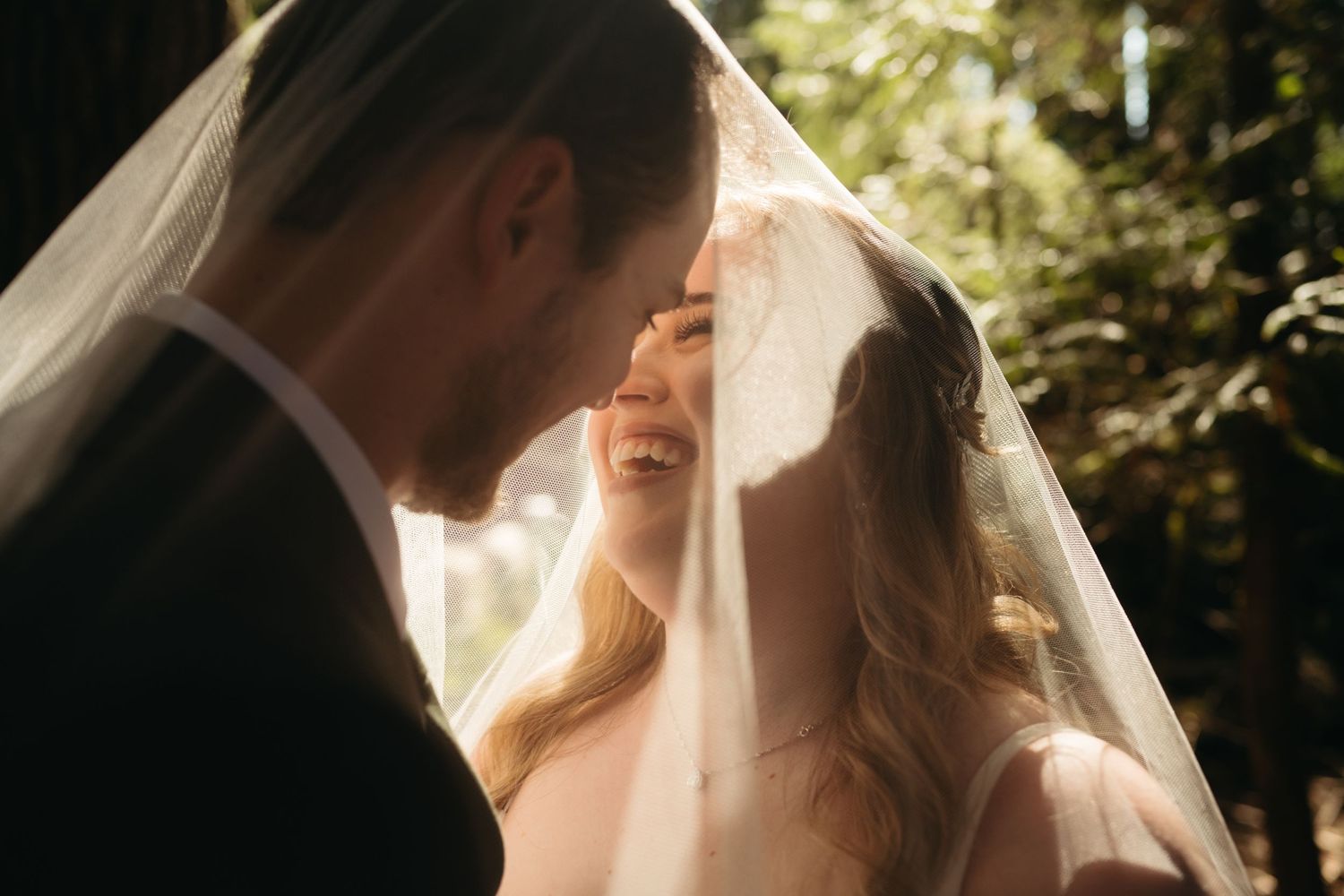 An intimate moment under a wedding veil with sunlight creating a golden glow.