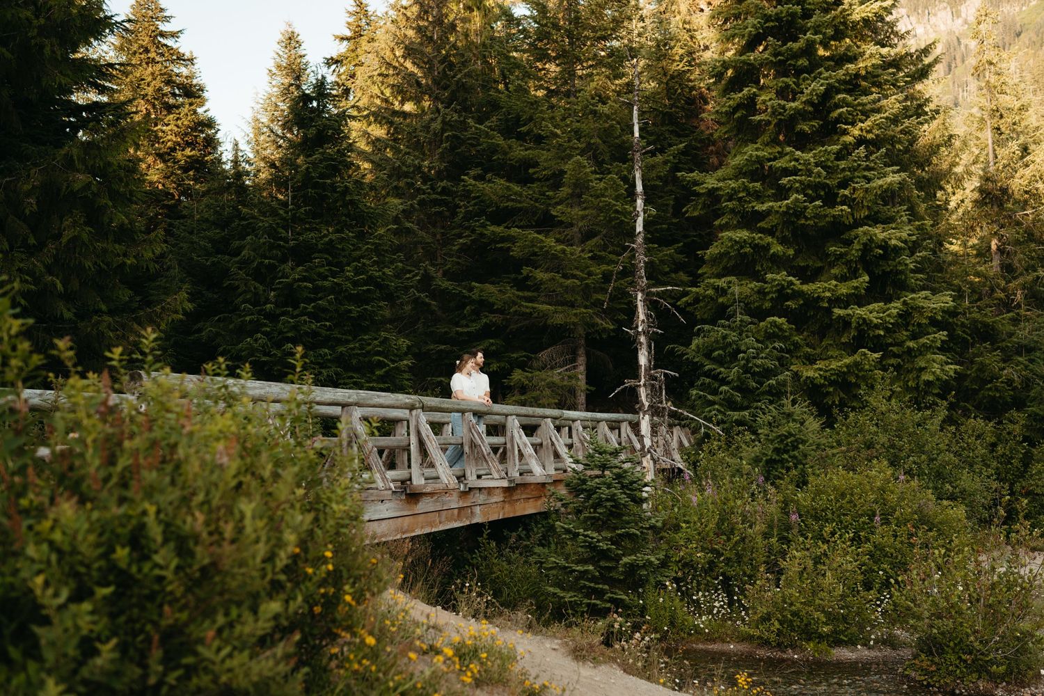Rustic wooden bridge crosses over a ravine surrounded by tall evergreen trees.